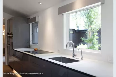 950 E Durant Avenue #4, Aspen, CO 81611 - Photo 9
