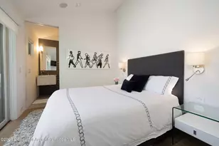 950 E Durant Ave, Aspen, CO 81611 - Photo 15