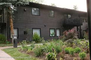 950 E Durant Ave, Aspen, CO 81611 - Photo 29