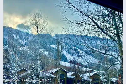 950 E Durant Avenue #4, Aspen, CO 81611 - Photo 31