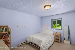 71 Aspen St, Carbondale, CO 81623 - Photo 15