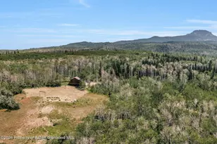 943 Routt Forest Dr, Craig, CO 81625 - Photo 61