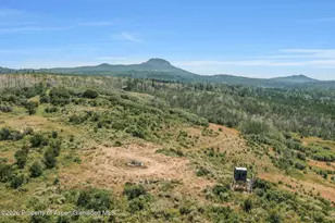 943 Routt Forest Dr, Craig, CO 81625 - Photo 57