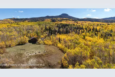 943 Routt Forest Drive, Craig, CO 81625 - Photo 3