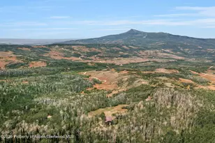 943 Routt Forest Dr, Craig, CO 81625 - Photo 59