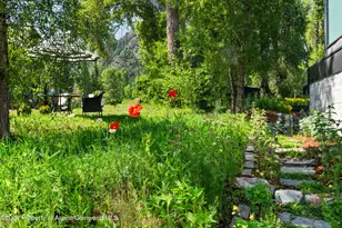 813 W Smuggler St, Aspen, CO 81611 - Photo 71