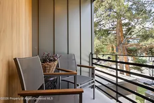 813 W Smuggler St, Aspen, CO 81611 - Photo 37
