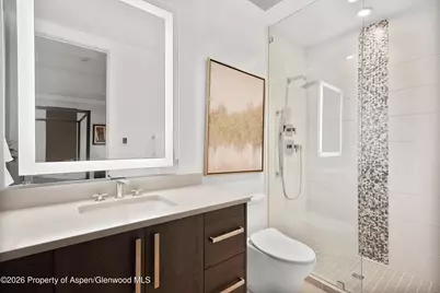 813 W Smuggler Street, Aspen, CO 81611 - Photo 51