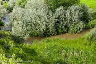 582 1600 Rd, Delta, CO 81416 - Photo 33