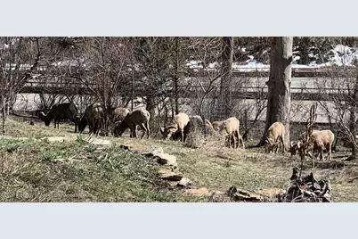 55857 Hwy 6 & 24, Glenwood Springs, CO 81601 - Photo 17