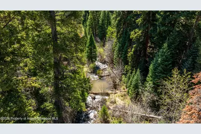 Tbd Forest Service Road 300 #Pond, Glenwood Springs, CO 81601 - Photo 5