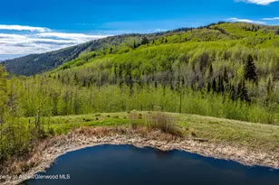 Tbd Forest Service Road 300, Glenwood Springs, CO 81601 - Photo 1