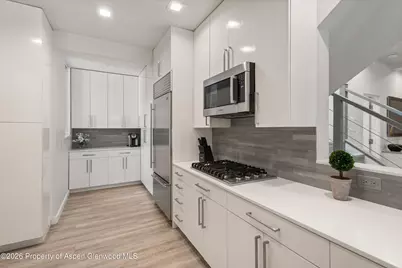 736 W Smuggler Street, Aspen, CO 81611 - Photo 21