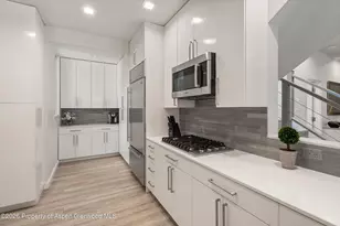 736 W Smuggler St, Aspen, CO 81611 - Photo 21