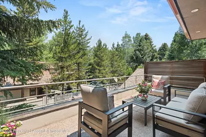 736 W Smuggler Street #B, Aspen, CO 81611 - Photo 41