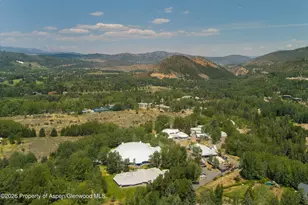 736 W Smuggler St, Aspen, CO 81611 - Photo 55