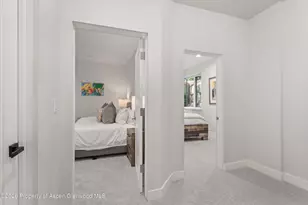 736 W Smuggler St, Aspen, CO 81611 - Photo 49