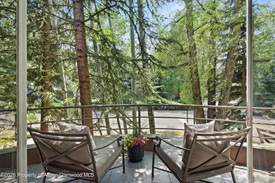 736 W Smuggler Street #B, Aspen, CO 81611 - Photo 33