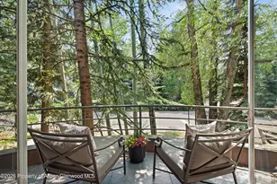 736 W Smuggler St, Aspen, CO 81611 - Photo 33