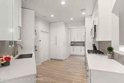 736 W Smuggler Street, Aspen, CO 81611 - Photo 19