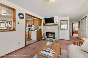 534 and 53 Spruce St, Aspen, CO 81611 - Photo 19