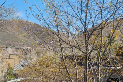 534 and 53 Spruce Street #Units 1 And 2, Aspen, CO 81611 - Photo 29