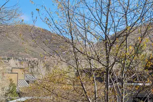 534 and 53 Spruce St, Aspen, CO 81611 - Photo 29