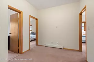 534 and 53 Spruce St, Aspen, CO 81611 - Photo 55