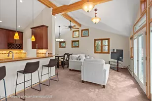 534 and 53 Spruce St, Aspen, CO 81611 - Photo 65