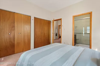 534 and 53 Spruce Street #Units 1 And 2, Aspen, CO 81611 - Photo 53