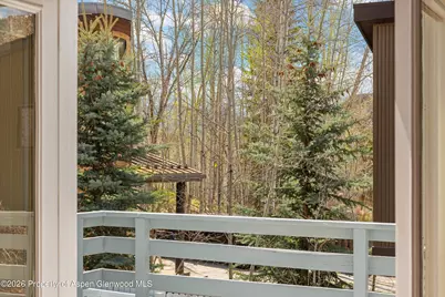 534 and 53 Spruce Street #Units 1 And 2, Aspen, CO 81611 - Photo 59
