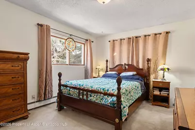 534 and 53 Spruce Street #Units 1 And 2, Aspen, CO 81611 - Photo 15