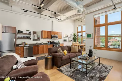 231 Robinson Street #320, Basalt, CO 81621 - Photo 5