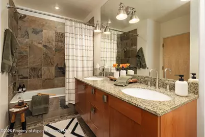 231 Robinson Street #320, Basalt, CO 81621 - Photo 11