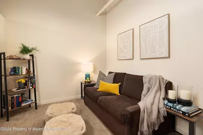 231 Robinson Street #320, Basalt, CO 81621 - Photo 13