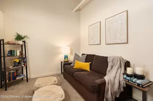 231 Robinson St, Basalt, CO 81621 - Photo 13