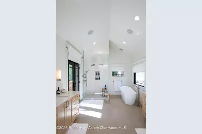 1263 Bunny Court #Unit 1, Aspen, CO 81611 - Photo 17