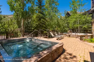 110 Carriage Way, Snowmass Village, CO 81615 - Photo 19