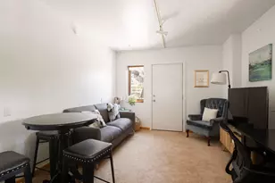 216 E Homestead Dr, Basalt, CO 81621 - Photo 27