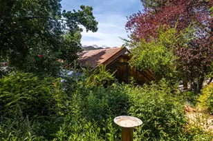216 E Homestead Dr, Basalt, CO 81621 - Photo 39