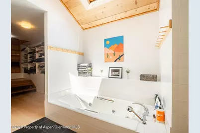 216 E Homestead Drive, Basalt, CO 81621 - Photo 17