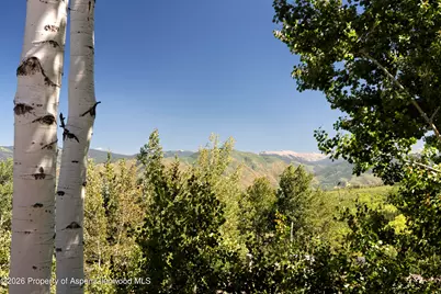 45 Ermine Lane, Snowmass Village, CO 81615 - Photo 63