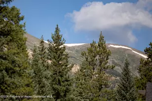 273 River Park Dr, Breckenridge, CO 80424 - Photo 41