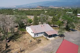 18878 Hwy 65, Cedaredge, CO 81413 - Photo 5