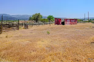 18878 Hwy 65, Cedaredge, CO 81413 - Photo 25
