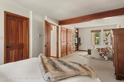 814 W Bleeker Street #B5, Aspen, CO 81611 - Photo 11