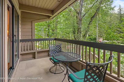 610 S West End Street #J204, Aspen, CO 81611 - Photo 13
