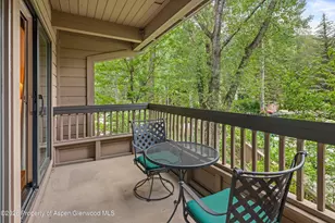 610 S West End St, Aspen, CO 81611 - Photo 13