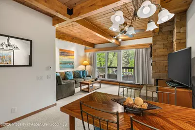 610 S West End Street #J204, Aspen, CO 81611 - Photo 5