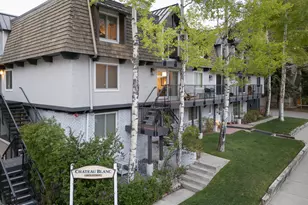 901 E Hyman Ave, Aspen, CO 81611 - Photo 15